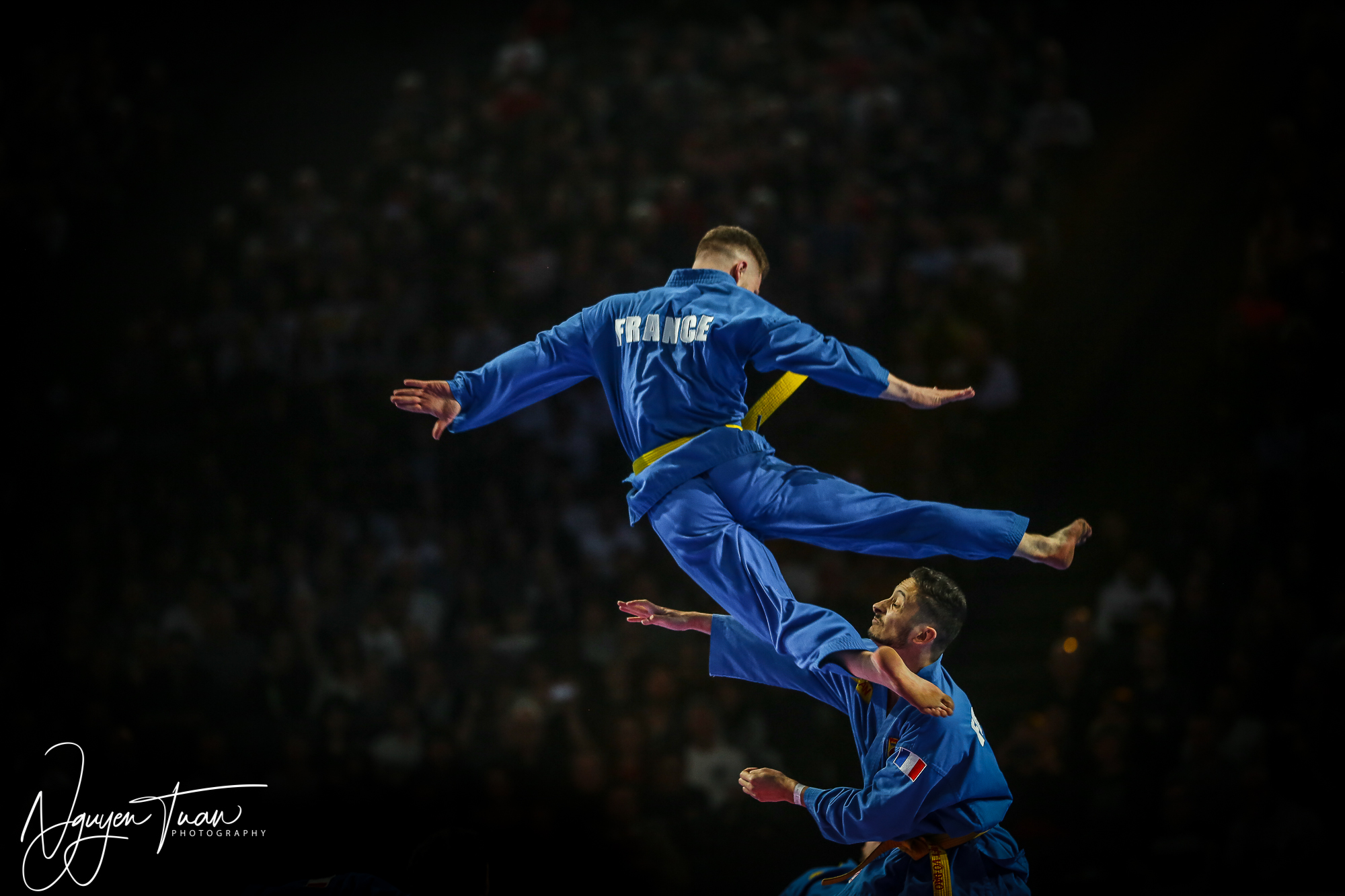 20190324 Festival des Arts Martiaux 2743